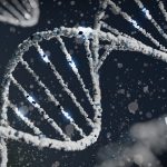 dna genetics